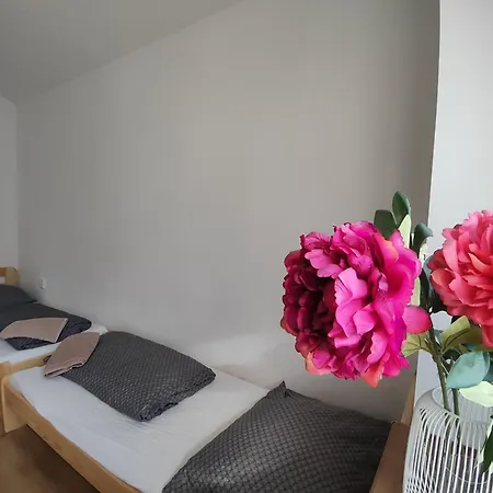 Apartmany Opolany アパート