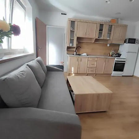 Apartmány Opolany Opolany