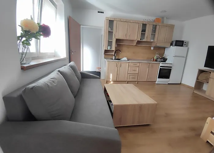 Apartmány Opolany Opolany